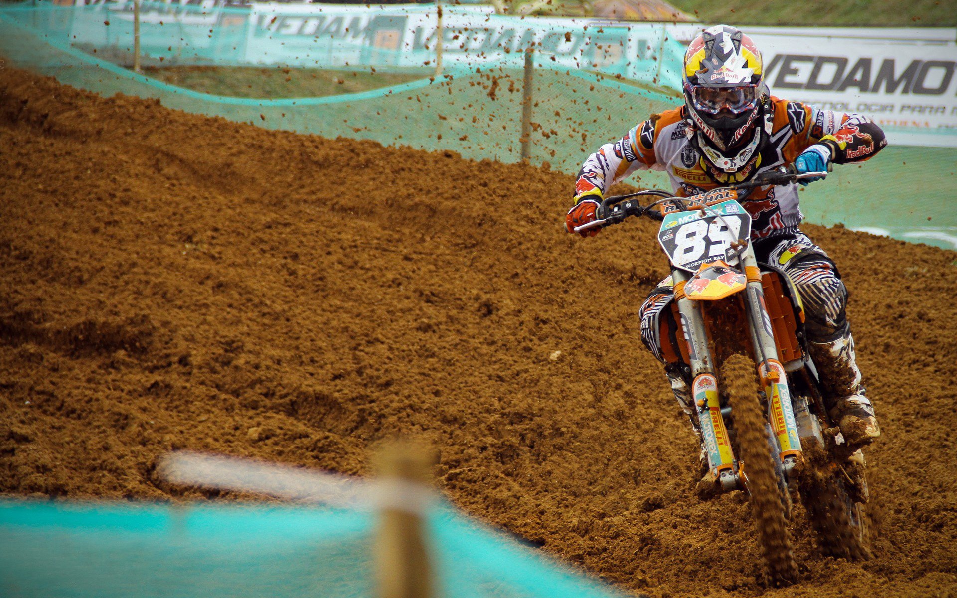 日本马术协会开展马匹福利宣传活动，提升公众意识。，日本马业